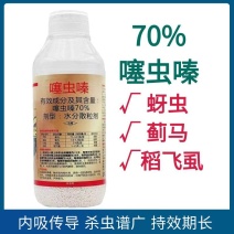 噻虫嗪70%芦笋韭菜蓟马小麦蚜虫水稻稻飞虱农药杀虫剂正品