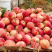 【推荐】突围桃安徽砀山毛桃大量供应中口感脆甜