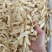 玉竹片湘玉竹湖南玉竹批发优质玉竹量大价优冷库到期便宜出售
