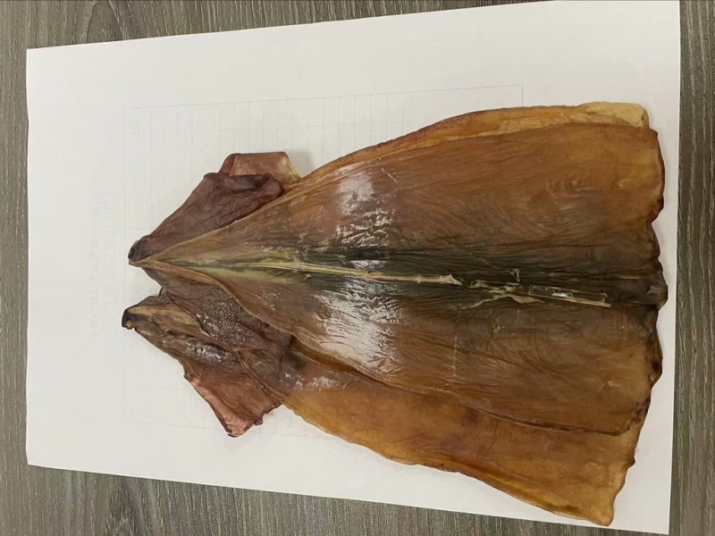 【精选】鱿鱼干预售量大价优欢迎咨询