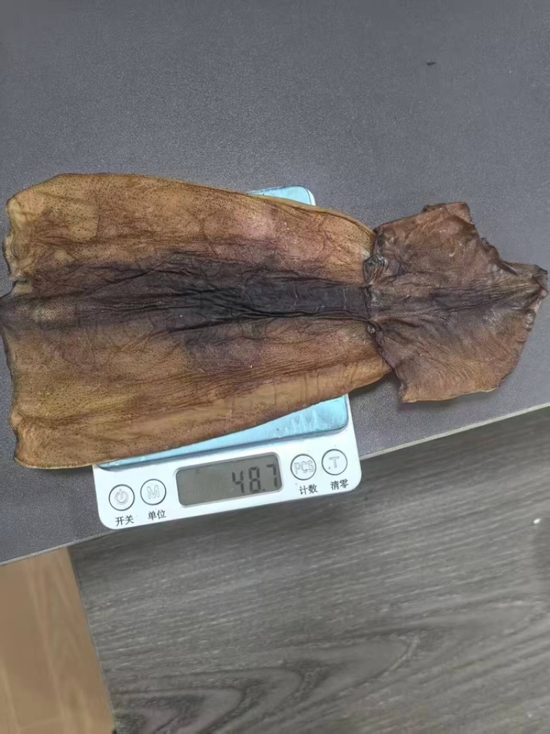 【精选】鱿鱼干预售量大价优欢迎咨询