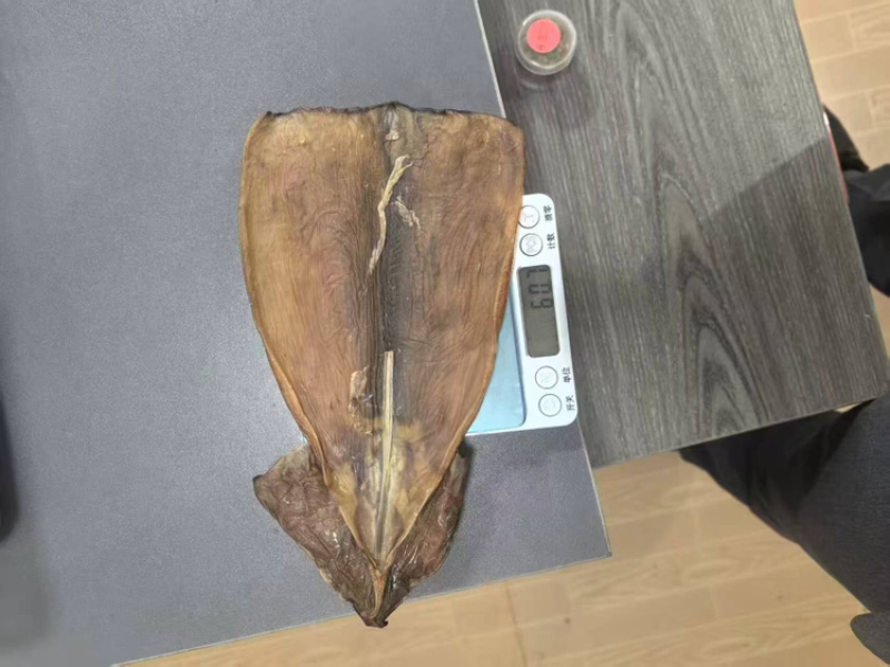 【精选】鱿鱼干预售量大价优欢迎咨询