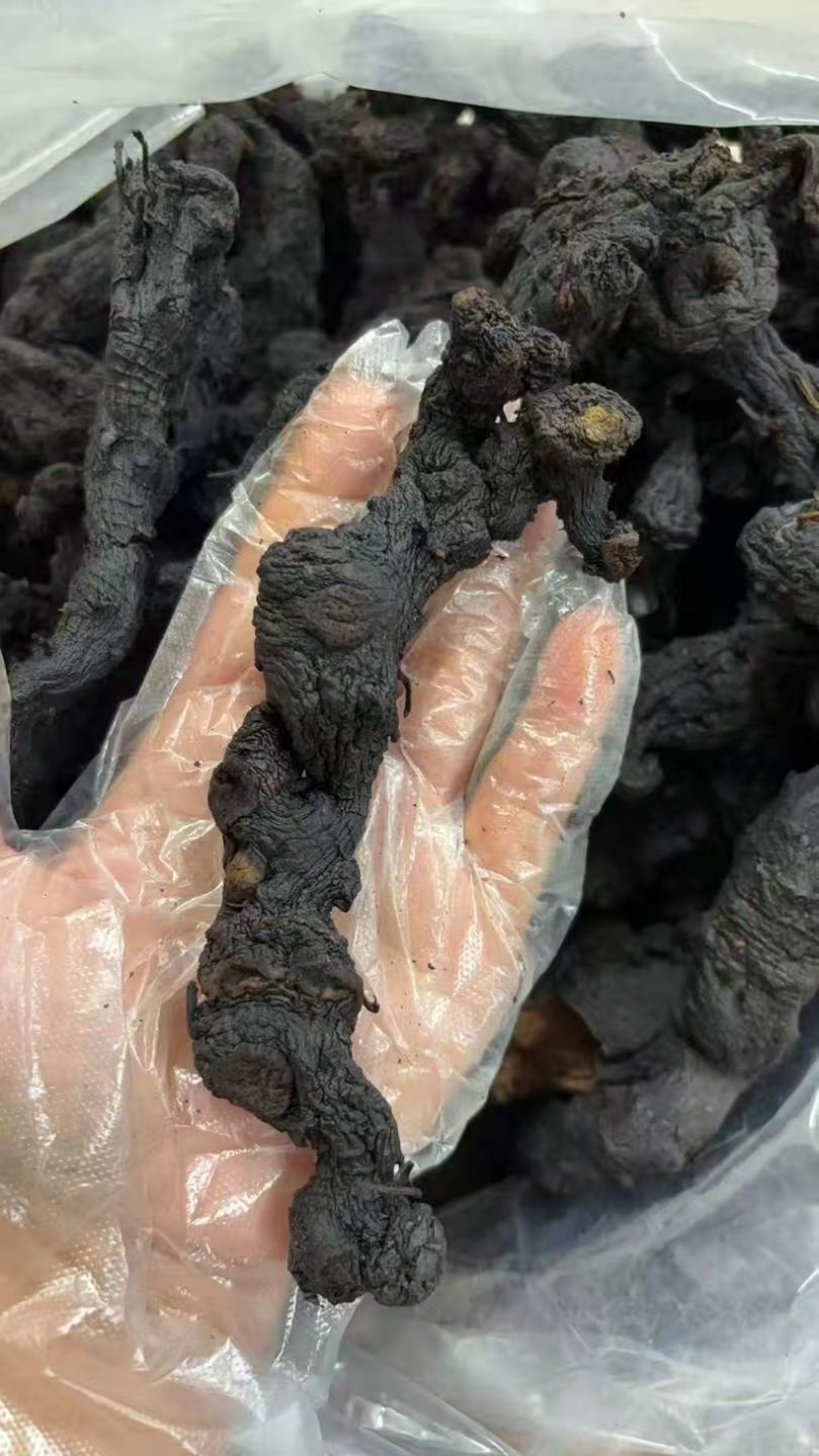 黄精九蒸九晒野生黄精批发口感软糯好吃无沙子主播热卖高品质