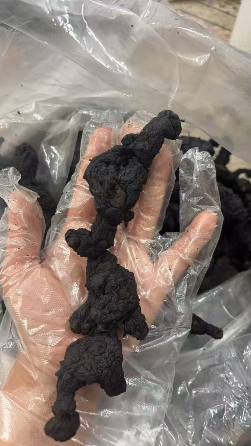 黄精九蒸九晒野生黄精批发口感软糯好吃无沙子主播热卖高品质