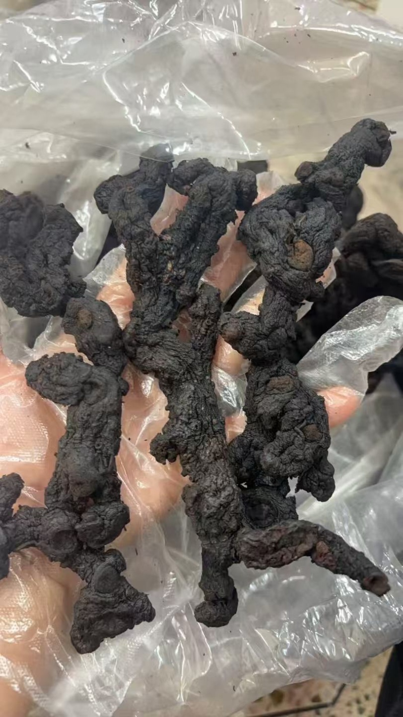 黄精九蒸九晒野生黄精批发口感软糯好吃无沙子主播热卖高品质