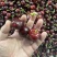美早🍒团购抖音拼多多视频号快手直播带货