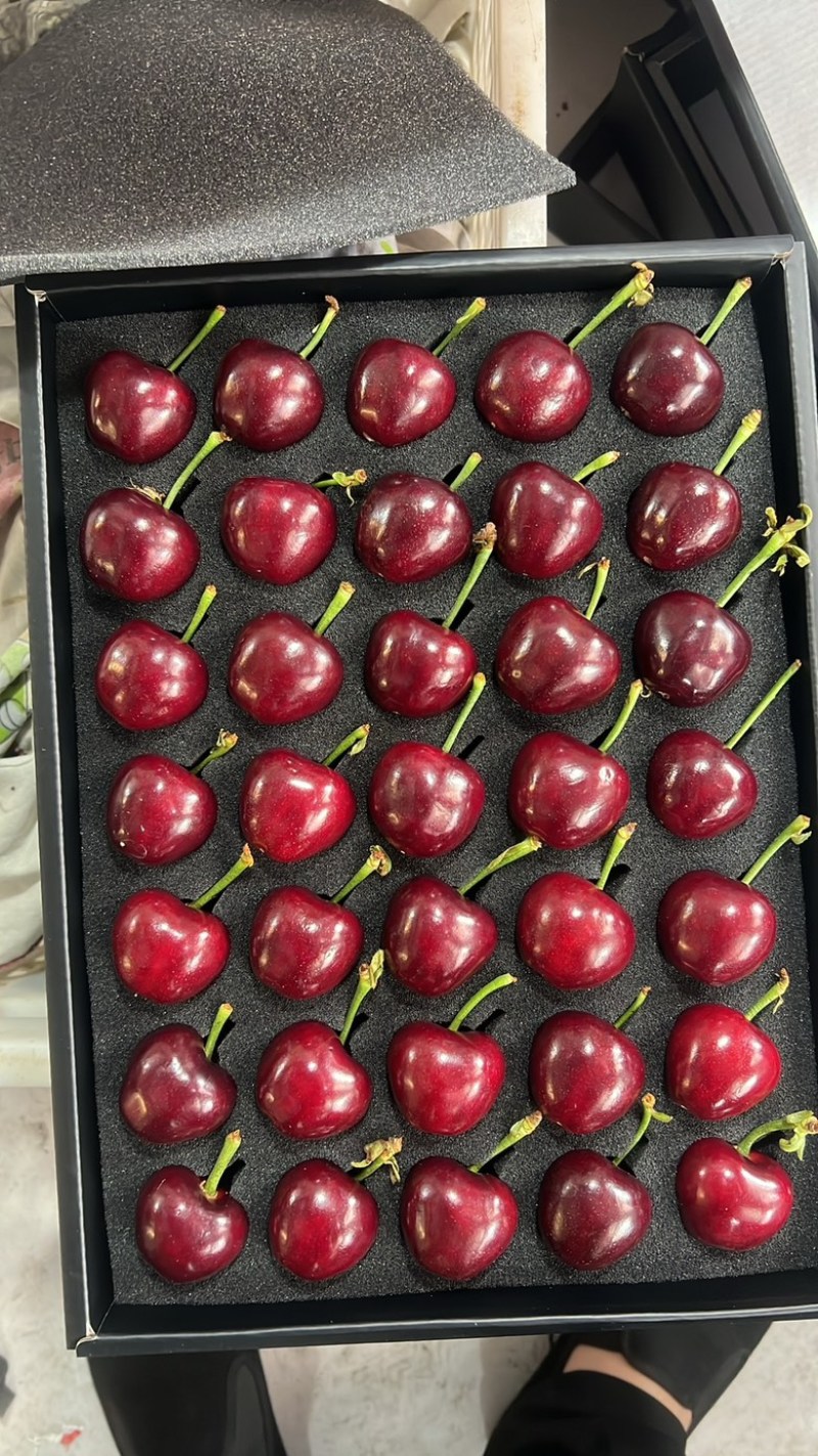 美早🍒团购抖音拼多多视频号快手直播带货