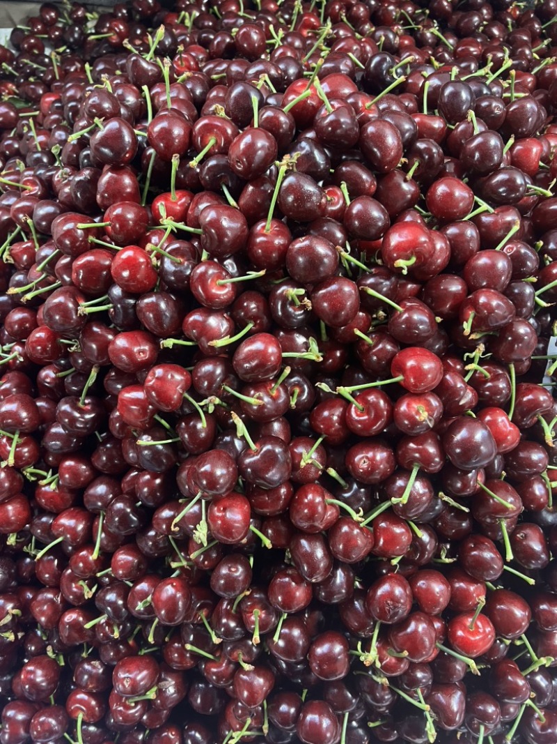 美早🍒团购抖音拼多多视频号快手直播带货