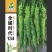 山东寿光全螺时代134螺丝椒耐寒连续坐果抗病毒