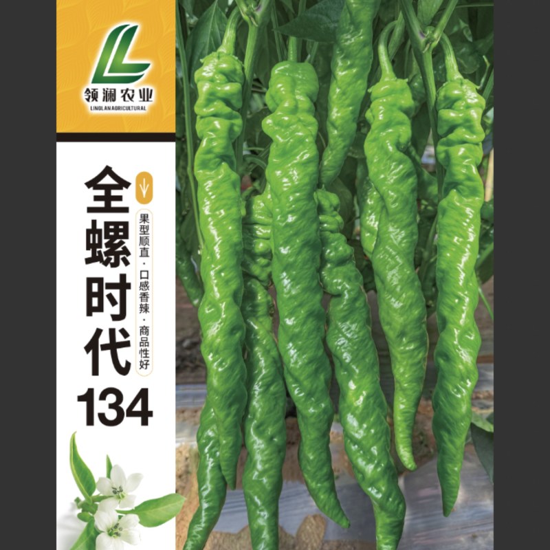 山东寿光全螺时代134螺丝椒耐寒连续坐果抗病毒