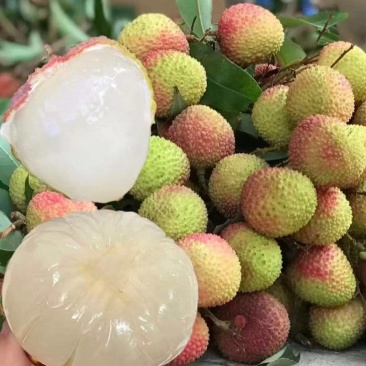 妃子笑荔枝货源充足量大从优核小品质保证代发全国