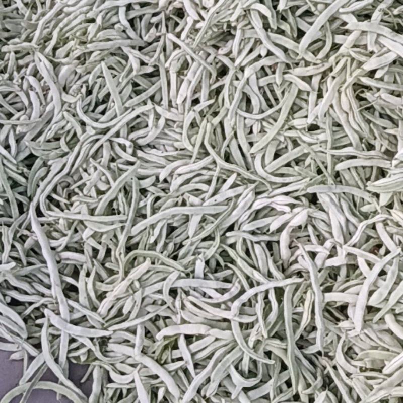白豆