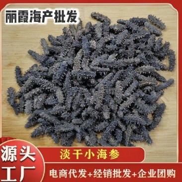 批发淡干海参刺参辽刺参，淡干小海参干货，非即食海参