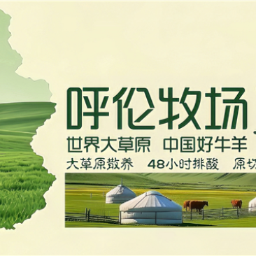 手撕风干牛肉干呼伦贝尔源头工厂肉干薄脆私域团长一件代发