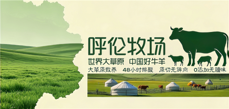 手撕风干牛肉干草原原切内蒙牛肉***开袋即食一件代发