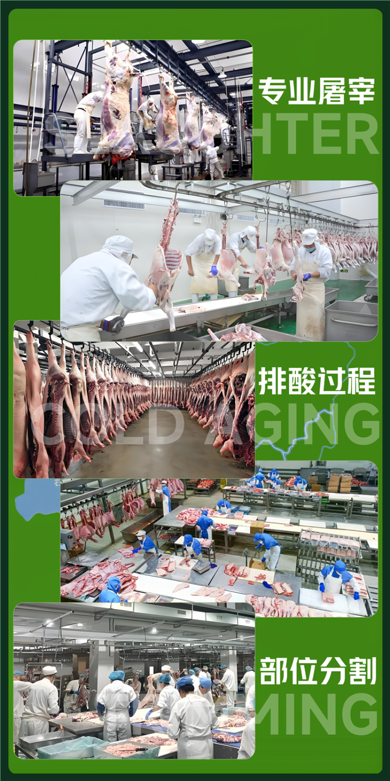 手撕风干牛肉干草原原切内蒙牛肉***开袋即食一件代发