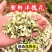 青麦仁真空包装半斤装一斤装接代发批发