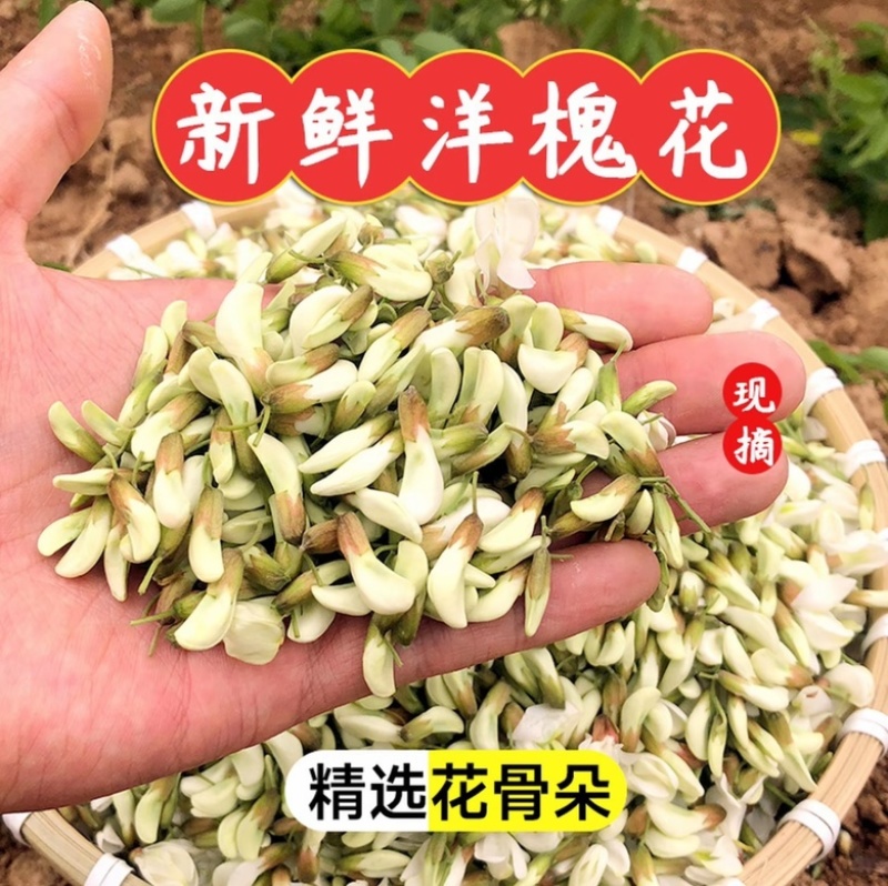 青麦仁真空包装半斤装一斤装接代发批发