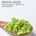 青麦仁真空包装半斤装一斤装接代发批发