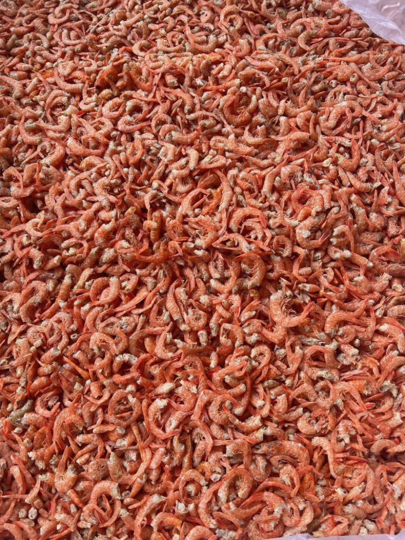 虾尾地摊电商批发樱花虾尾虾干虾皮虾肉干虾大号樱花虾尾