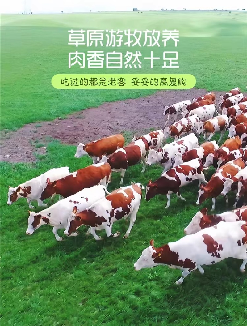 鲜牛肝餐饮烧烤食材呼伦贝尔现杀现发内蒙古牛肝