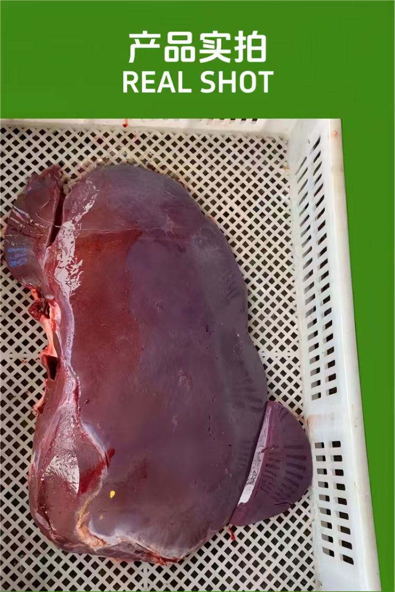 鲜牛肝餐饮烧烤食材呼伦贝尔现杀现发内蒙古牛肝