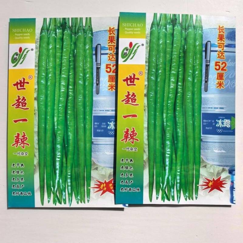 世超一辣,早熟长果条椒,坐果集中产量突出,抗病性强辣味适