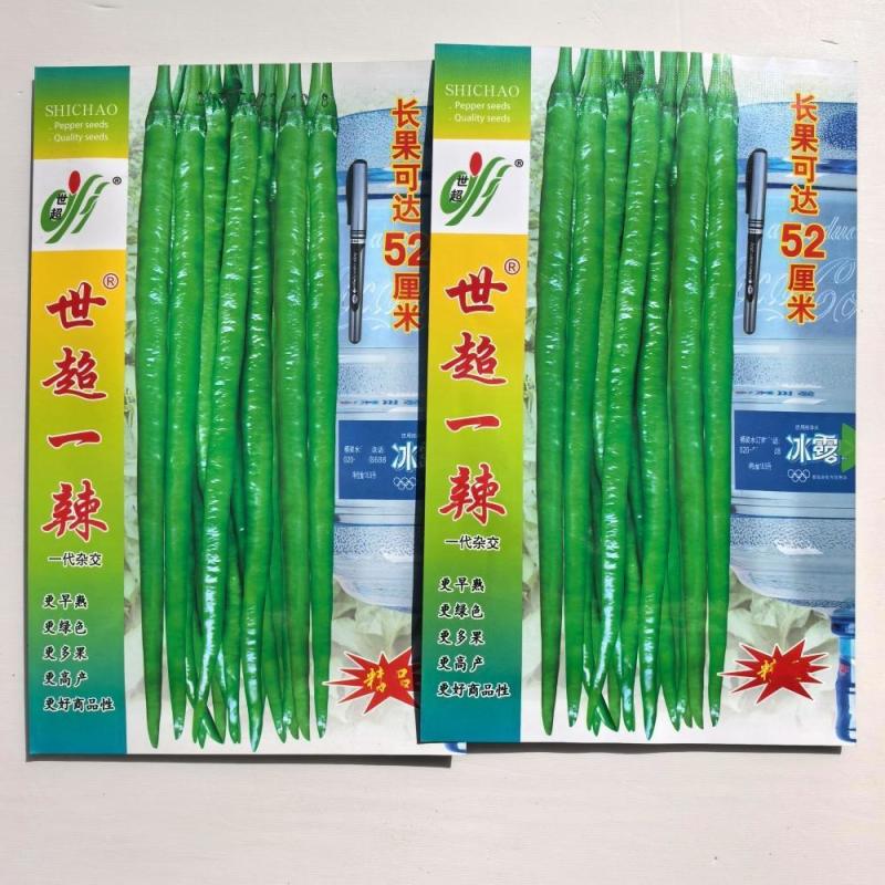 世超一辣,早熟长果条椒,坐果集中产量突出,抗病性强辣味适