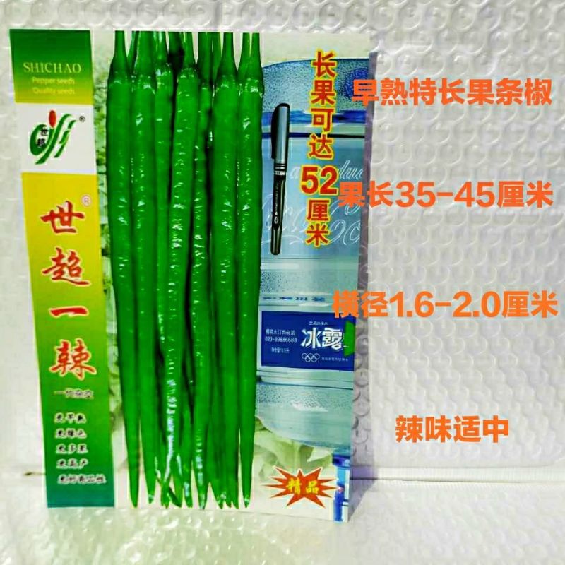 世超一辣,早熟长果条椒,坐果集中产量突出,抗病性强辣味适