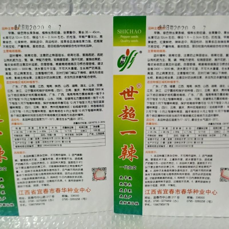 世超一辣,早熟长果条椒,坐果集中产量突出,抗病性强辣味适