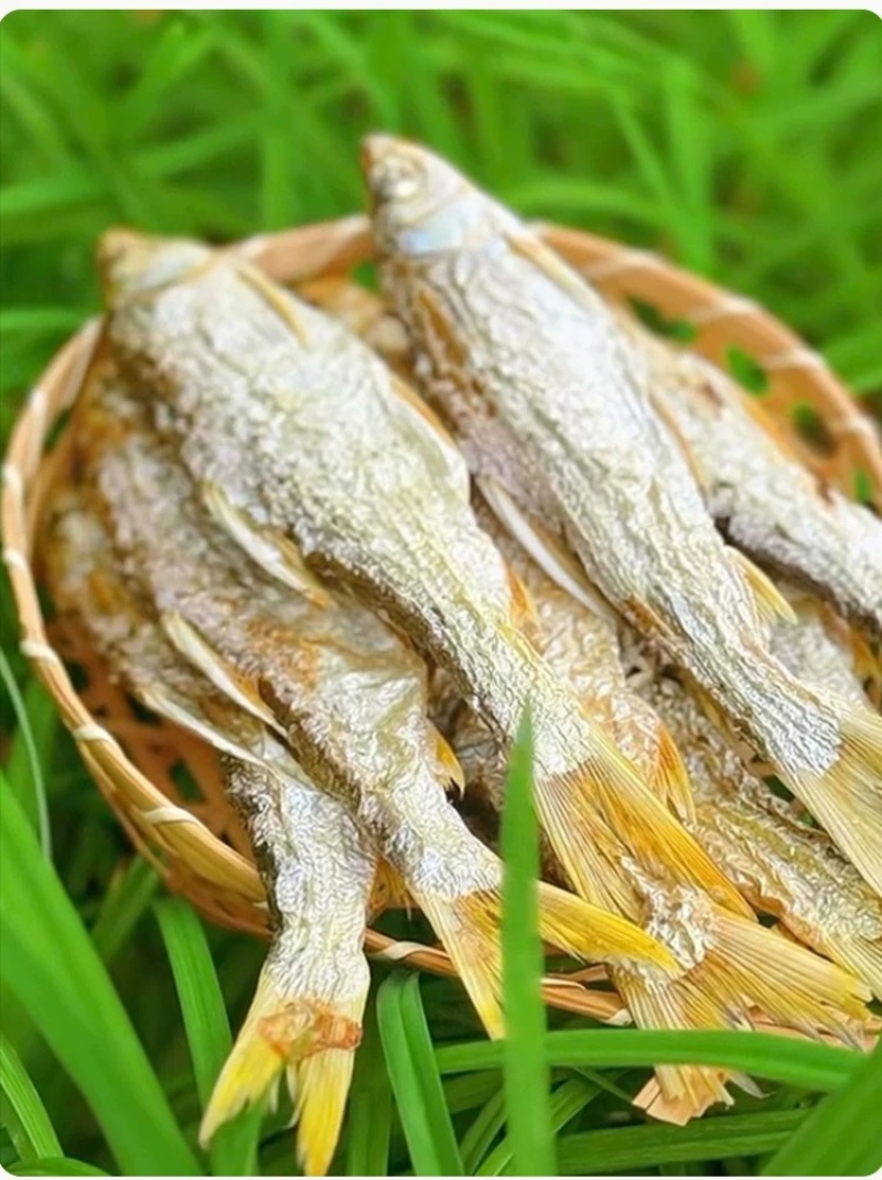 碳火烤干黄尾鱼干，淡水鱼干去去内脏