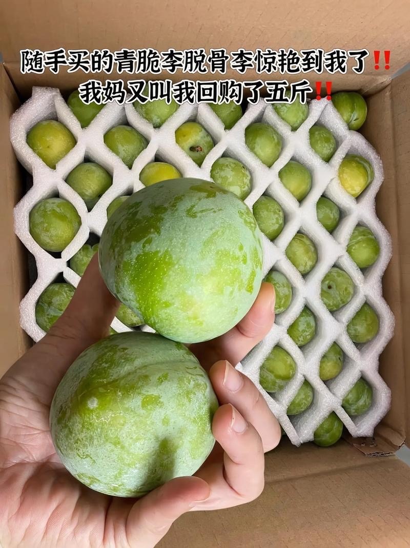 青脆李