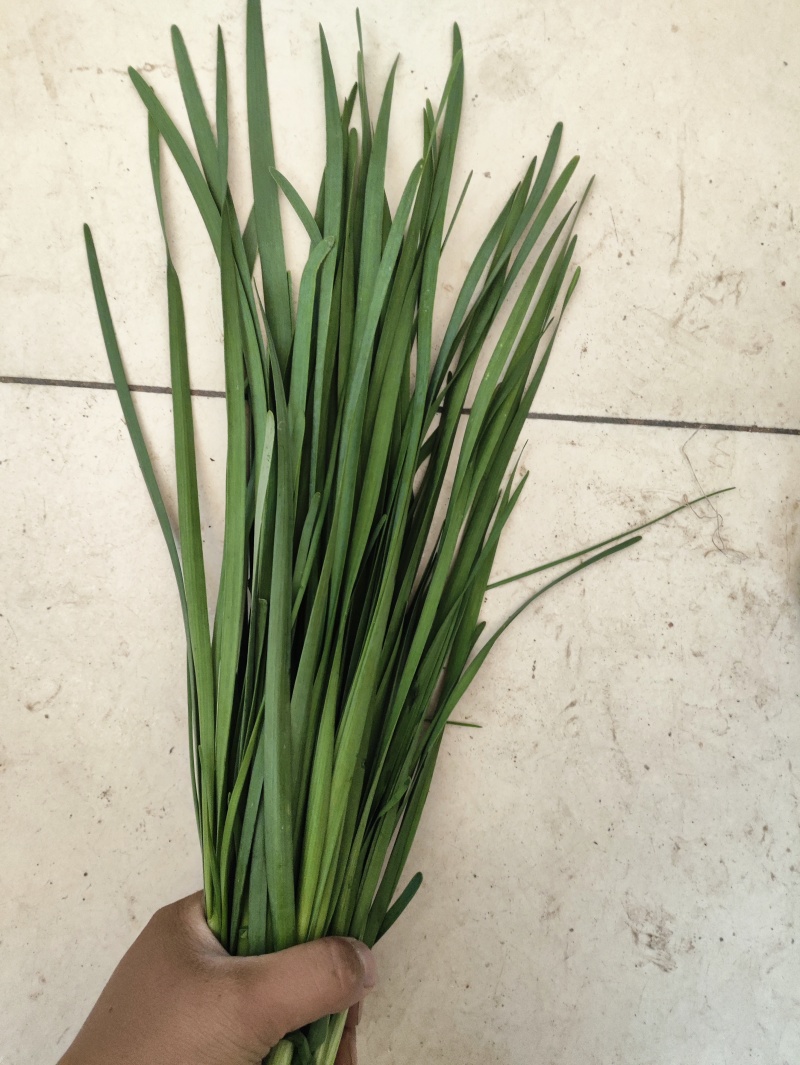 精品头刀蔬菜食品厂市场大量供应