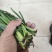 精品头刀蔬菜食品厂市场大量供应