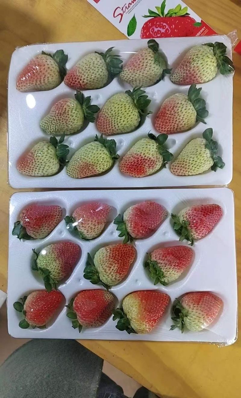 云南会泽草莓蒙特瑞四季草莓产地直供现摘现发量大价优