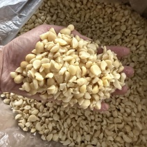 夏威夷果碎仁奶香味烘培奶茶商用即食