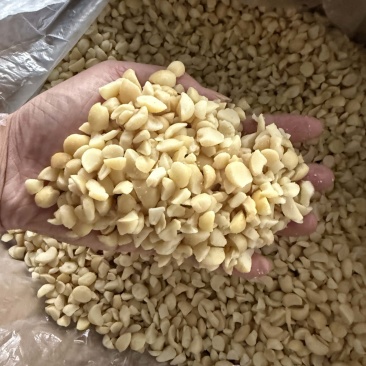 夏威夷果碎仁奶香味烘培奶茶商用即食