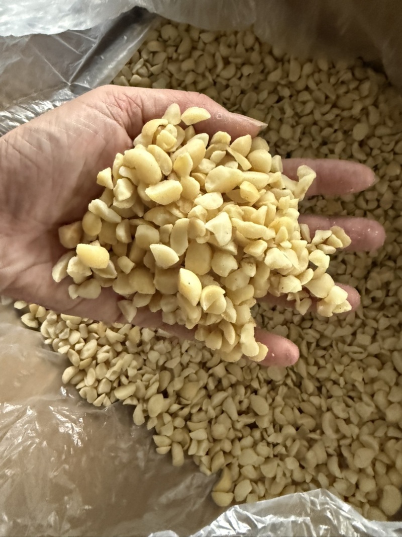 夏威夷果碎仁奶香味烘培奶茶商用即食