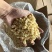 夏威夷果碎仁奶香味烘培奶茶商用即食