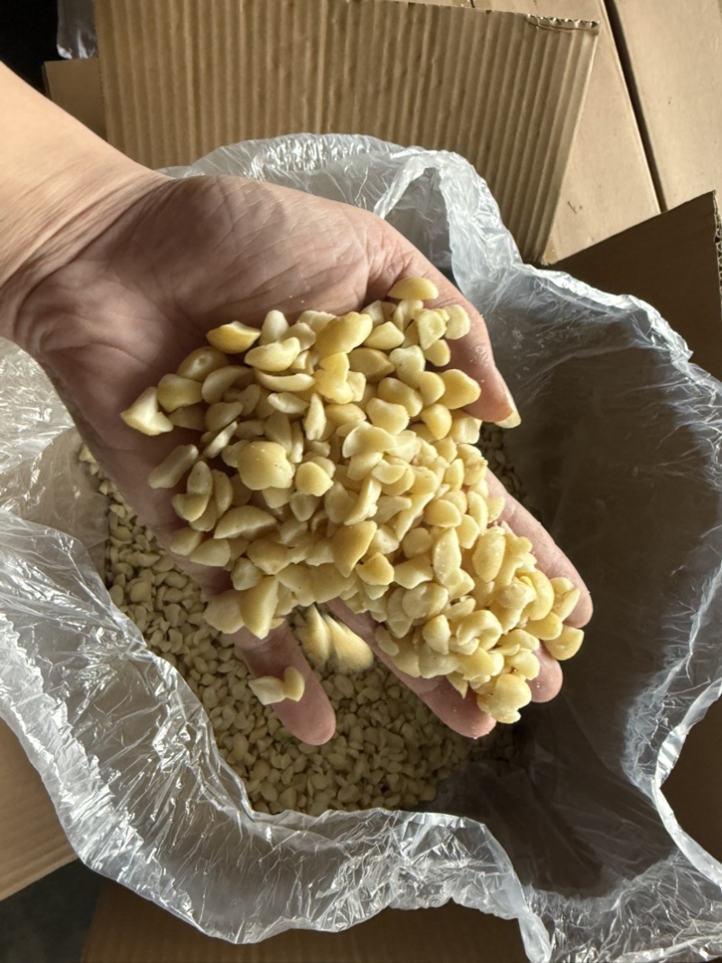 夏威夷果碎仁奶香味烘培奶茶商用即食
