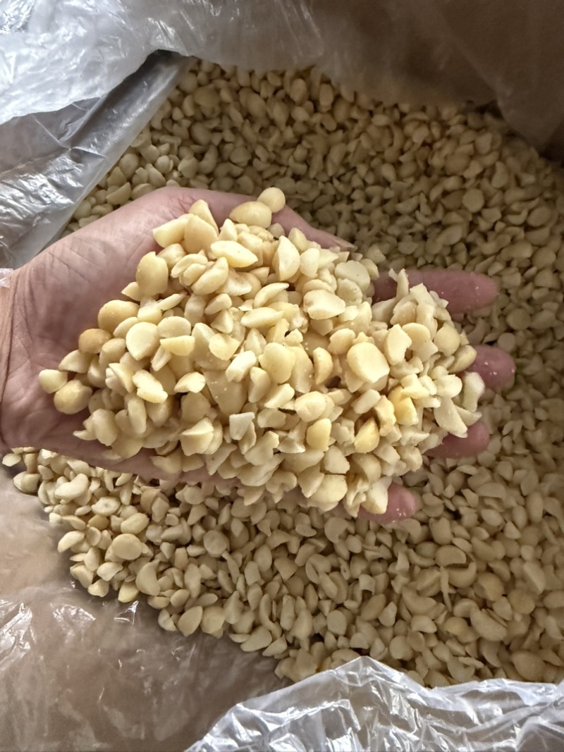夏威夷果碎仁奶香味烘培奶茶商用即食