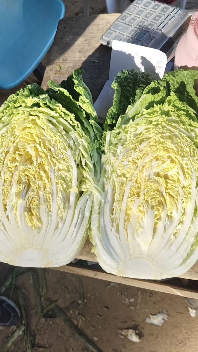 玲珑黄心大白菜！