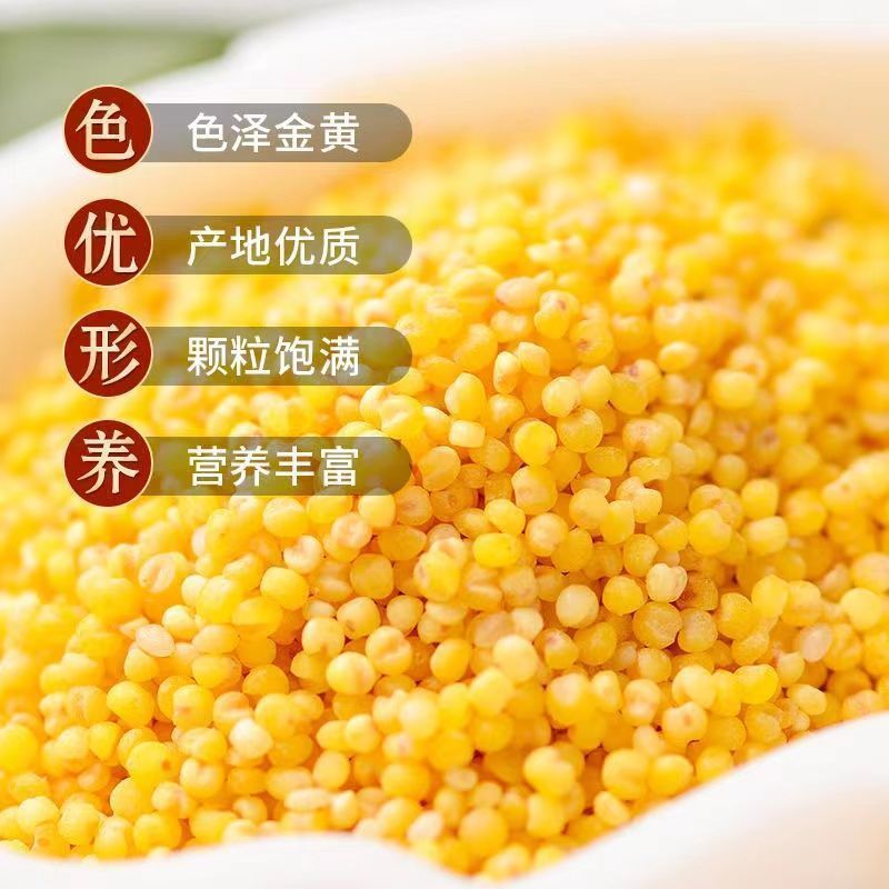 特价净重5斤小米新米农家优质小米正宗黄小米现磨小米食用
