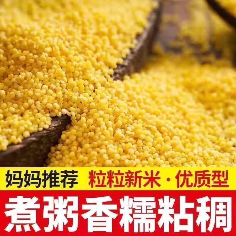 特价净重5斤小米新米农家优质小米正宗黄小米现磨小米食用