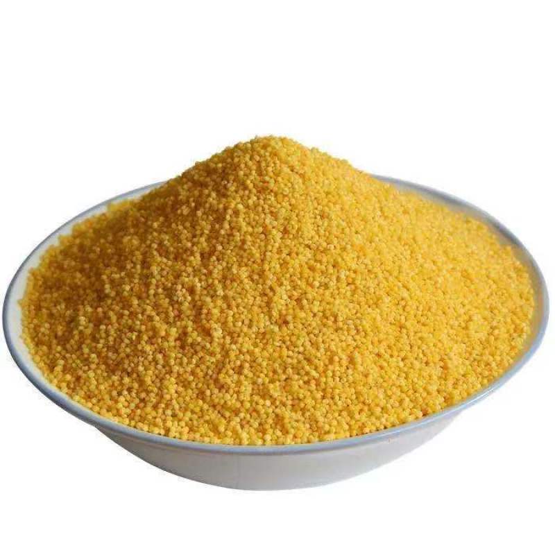 特价净重5斤小米新米农家优质小米正宗黄小米现磨小米食用
