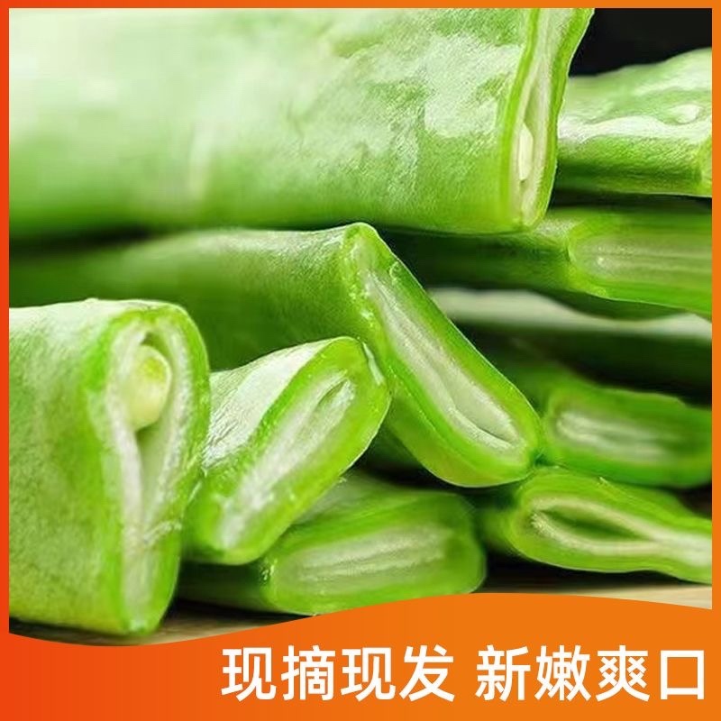 山东莘县扁豆角中国蔬菜**县新鲜采摘源头供货