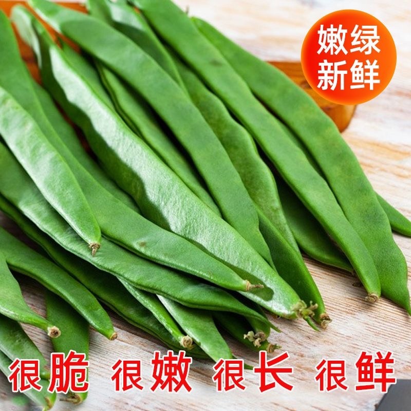 山东莘县扁豆角中国蔬菜**县新鲜采摘源头供货