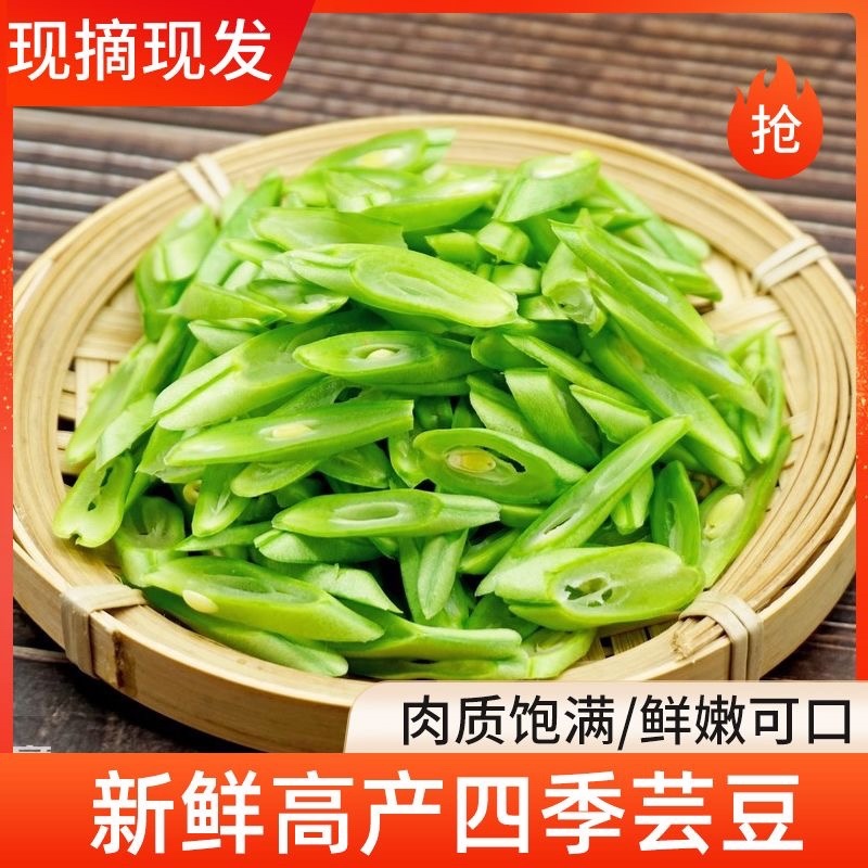 山东莘县扁豆角中国蔬菜**县新鲜采摘源头供货
