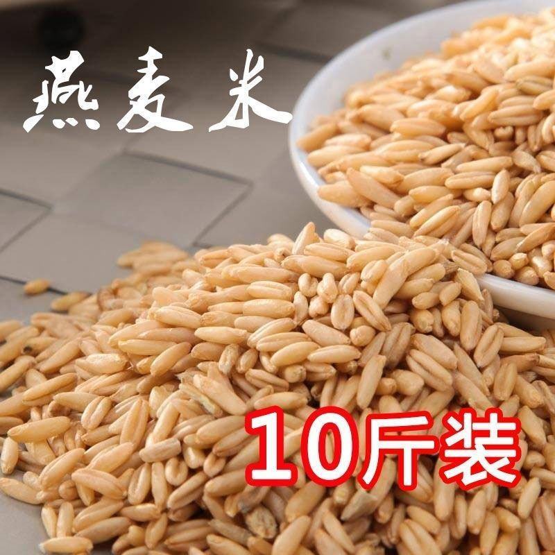 东北农家新货燕麦米新米胚芽裸燕麦东北胚芽米粗粮燕麦粥五谷