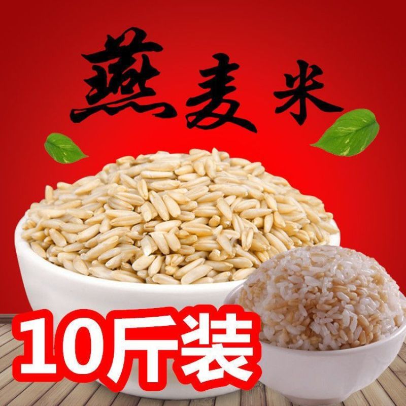 东北农家新货燕麦米新米胚芽裸燕麦东北胚芽米粗粮燕麦粥五谷